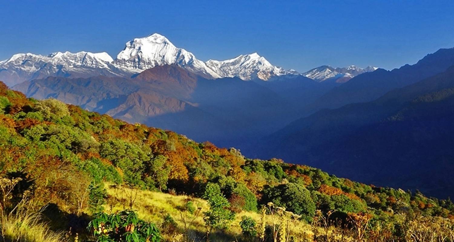 Ghorepani Poon Hill Trekking - 10 Days image 4